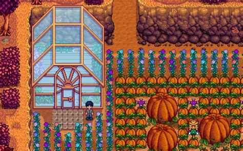 best crops greenhouse stardew